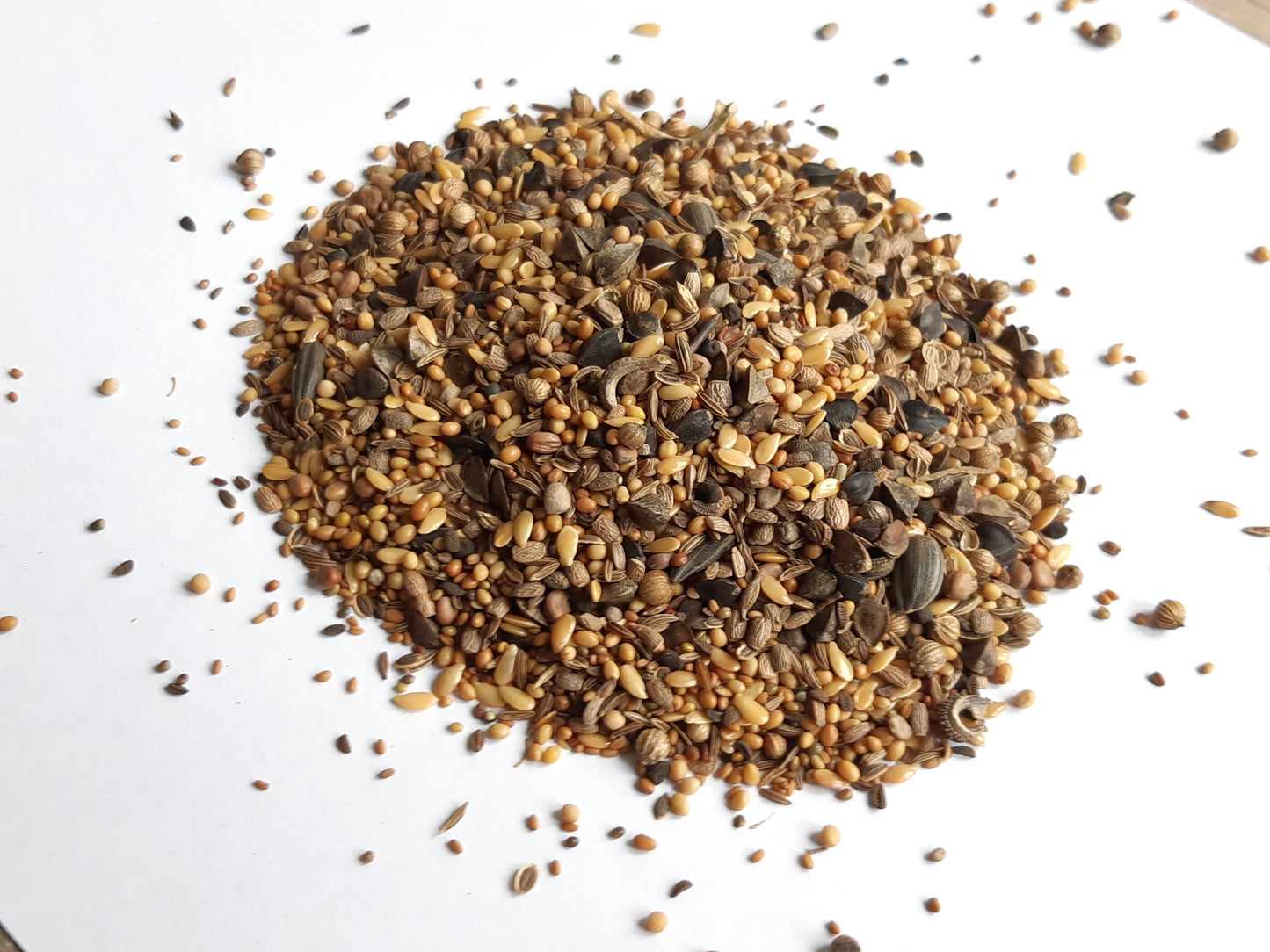 Capsules de graines de fleurs