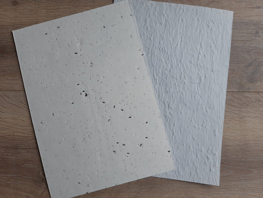 Feuille A4 de papier ensemencé