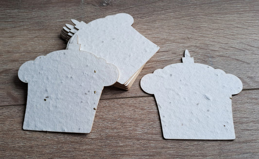 Gateau d'anniversaire à planter en papier ensemencé