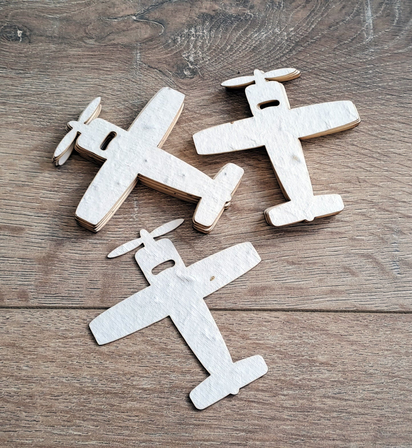 Avions à planter en papier ensemencé