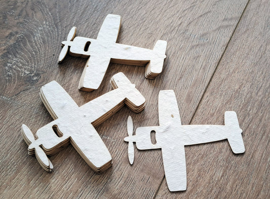 Avions à planter en papier ensemencé
