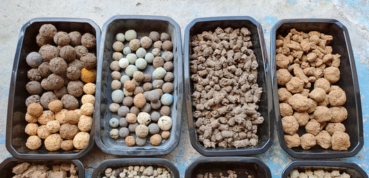 Bombes et billes de graines "maison"