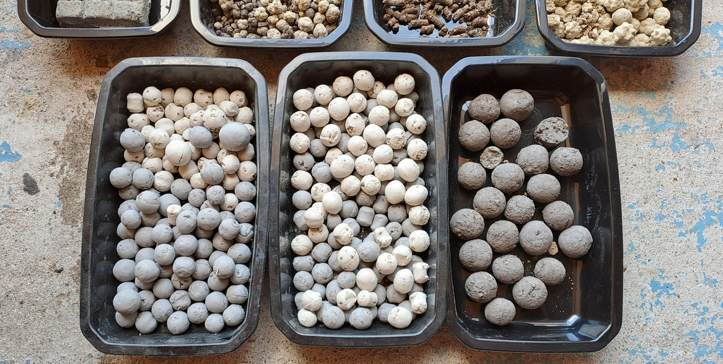 Bombes et billes de graines "maison"