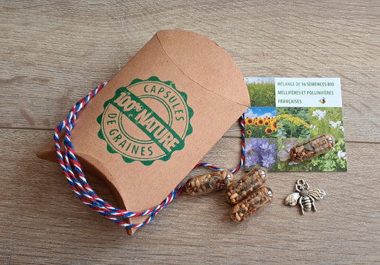 Capsules de graines de fleurs