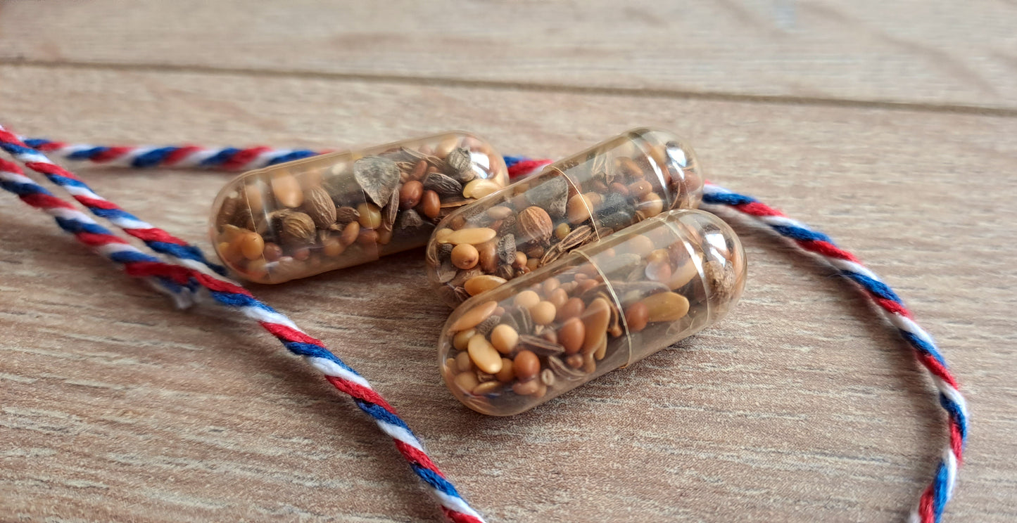 Capsules de graines de fleurs