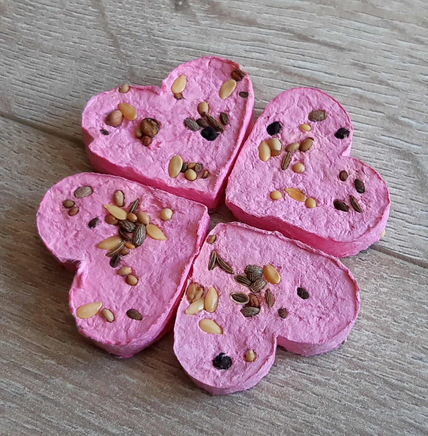 Coeur de graines Octobre Rose La Fabrik' à Pousses