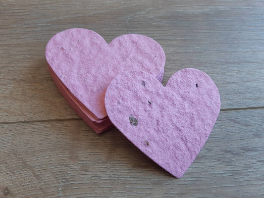 Coeur ensemencé à planter La Fabrik' à Pousses