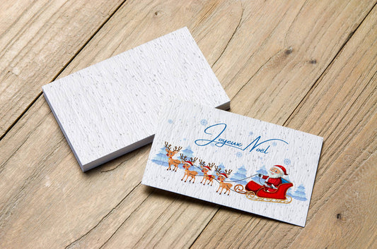 Etiquettes à planter Joyeux Noël La Fabrik' à Pousses