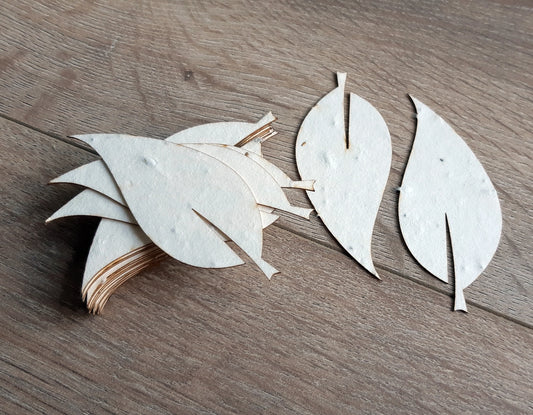Feuilles stylisées à planter en papier ensemencé La Fabrik' à Pousses
