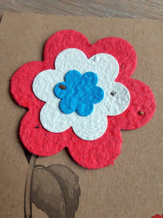 Fleur tricolore Bleu Blanc Rouge à planter La Fabrik' à Pousses