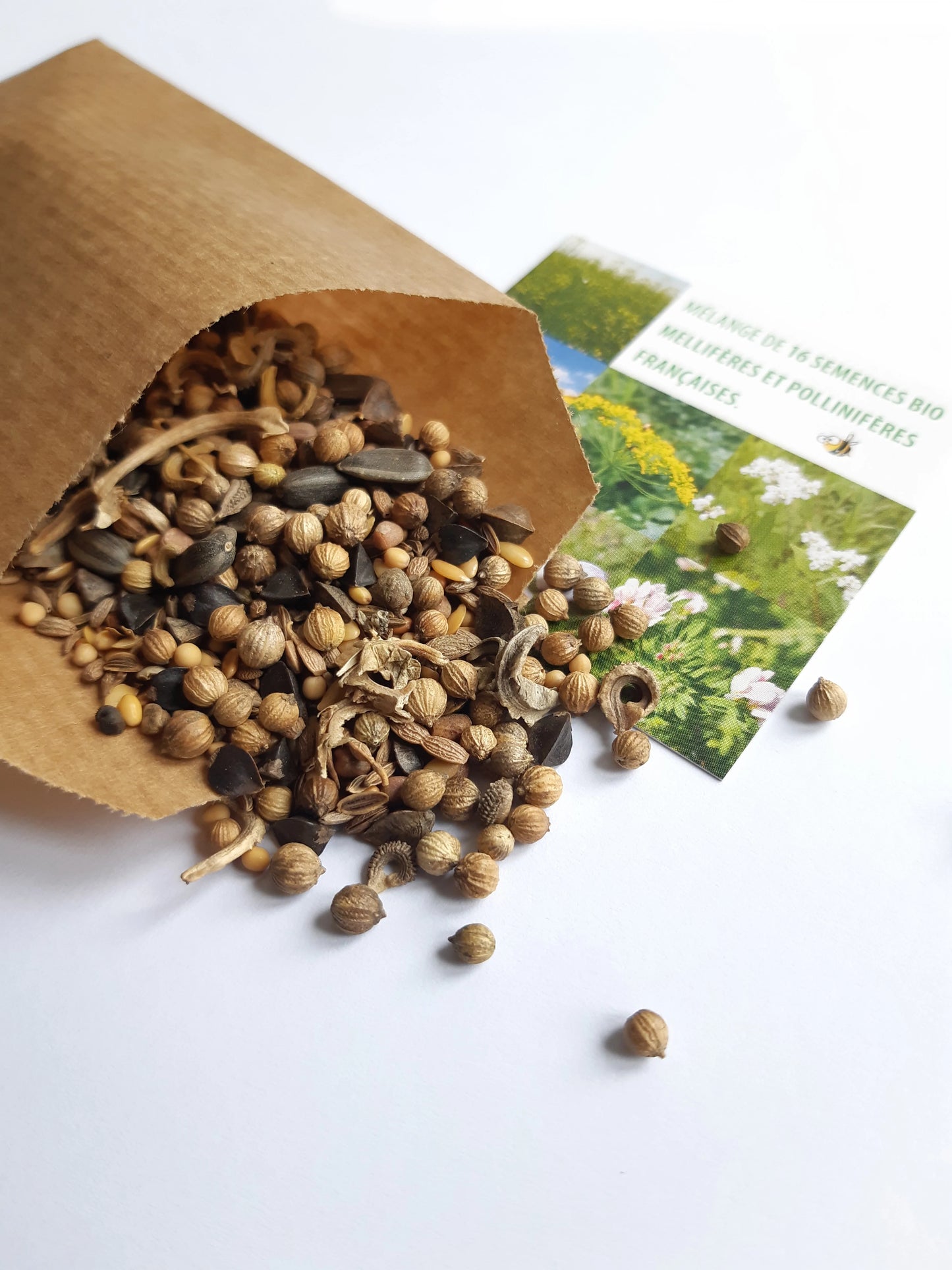 Mélange de graines de fleurs françaises bio La Fabrik' à Pousses