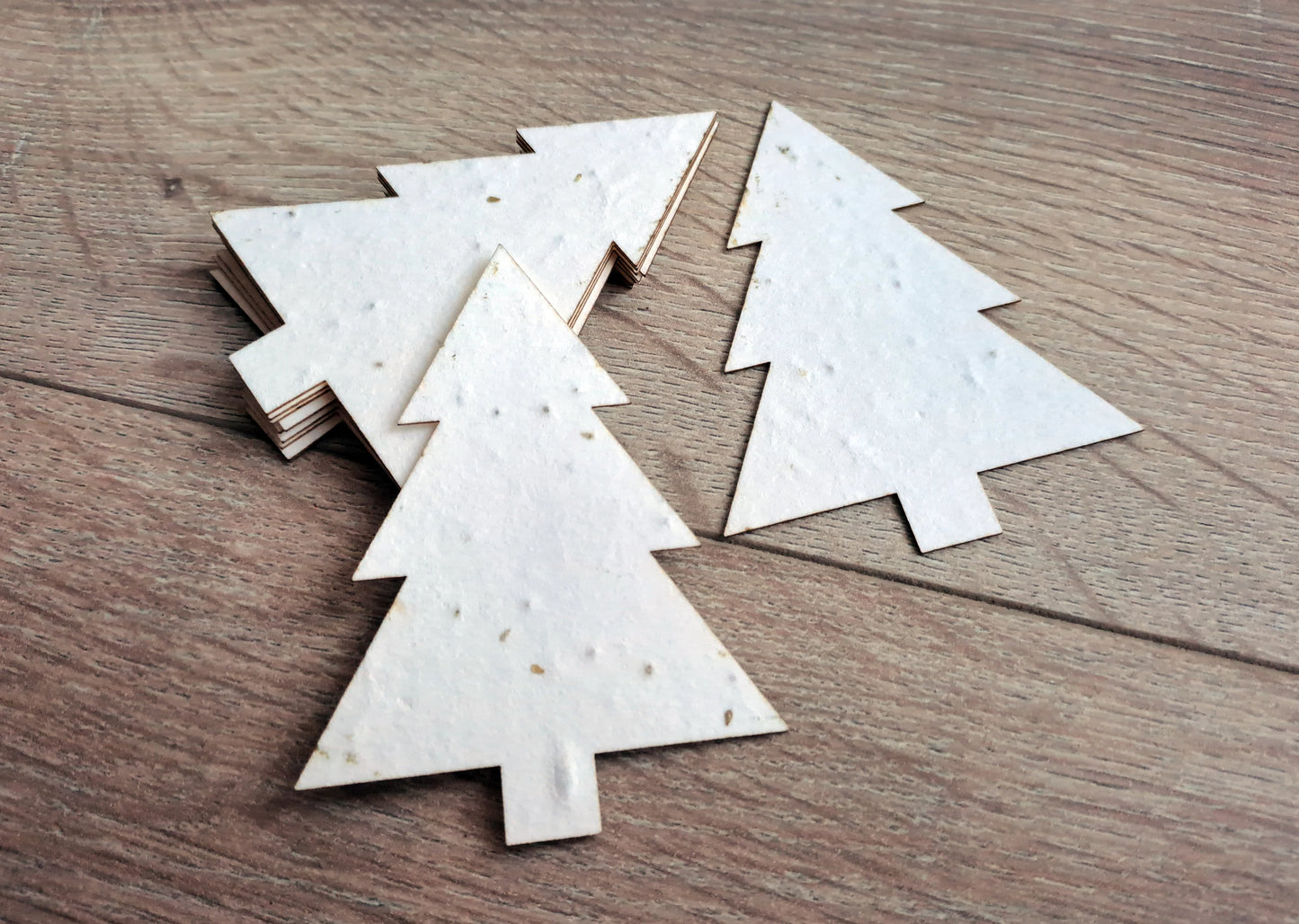 Sapins à planter (vert ou blanc) La Fabrik' à Pousses