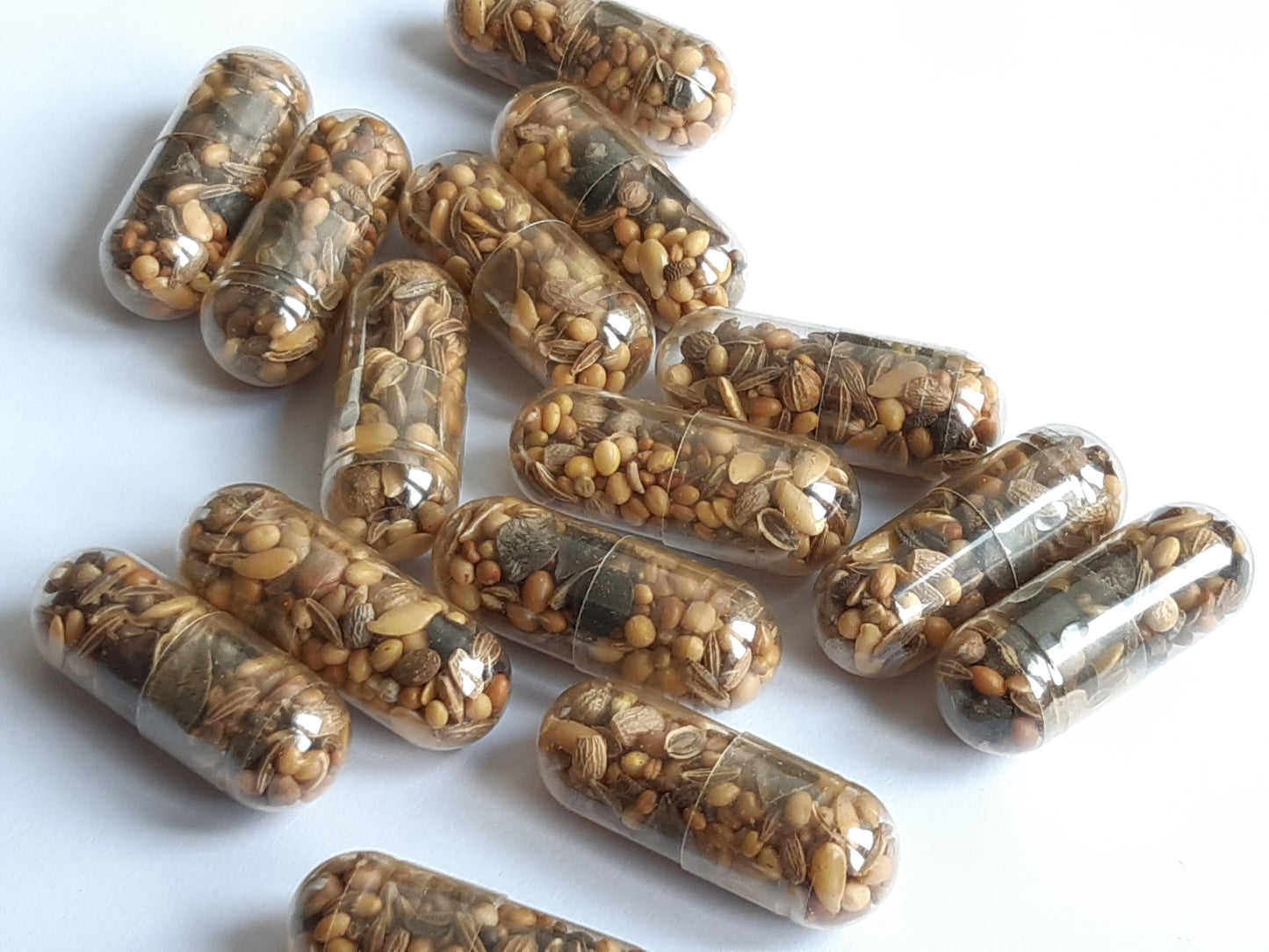 Capsules de graines de fleurs