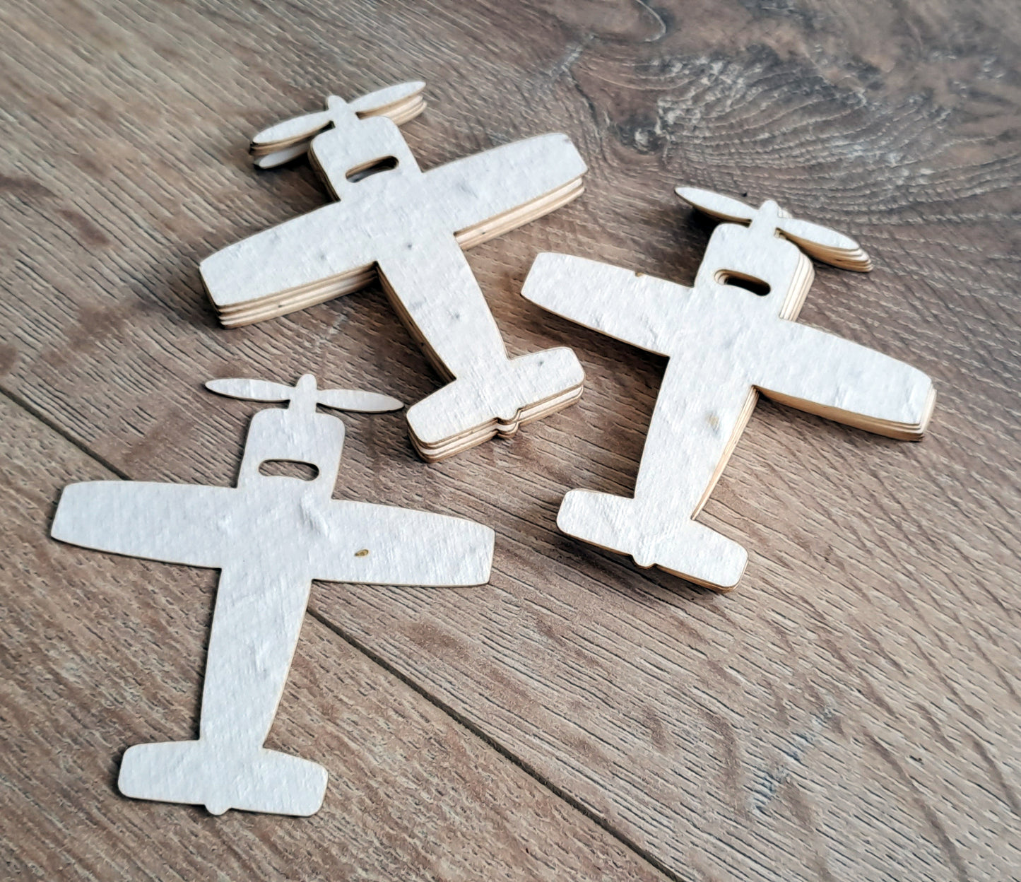 Avions à planter en papier ensemencé