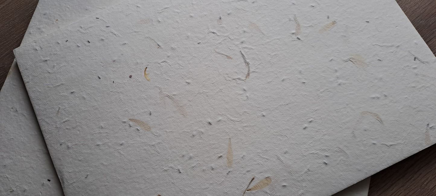 Feuille A4 de papier ensemencé