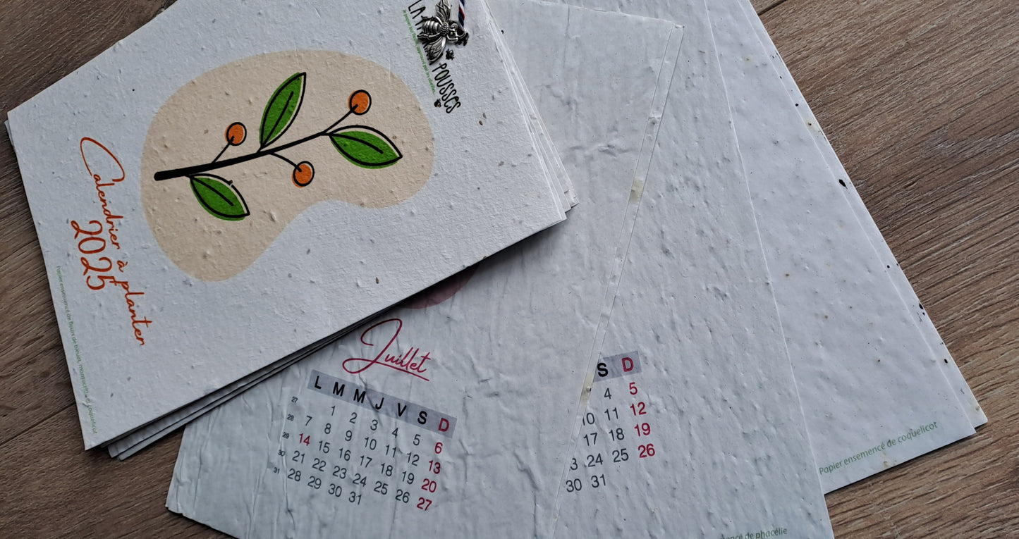 Calendrier à planter stylisé