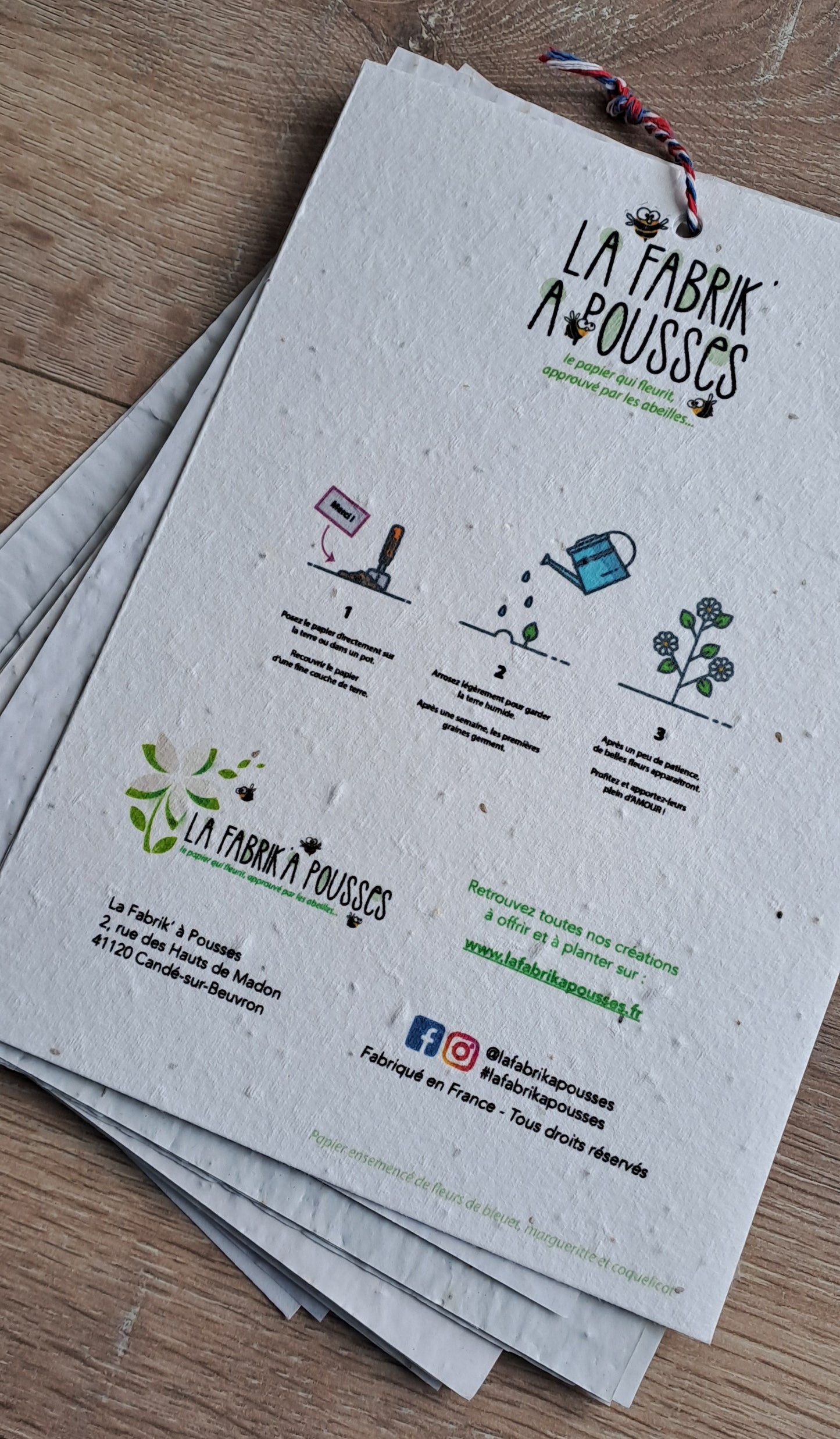 Calendrier à planter stylisé