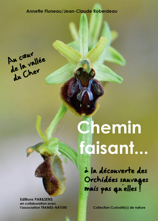 Guide des orchidées sauvages dans la vallée du Cher