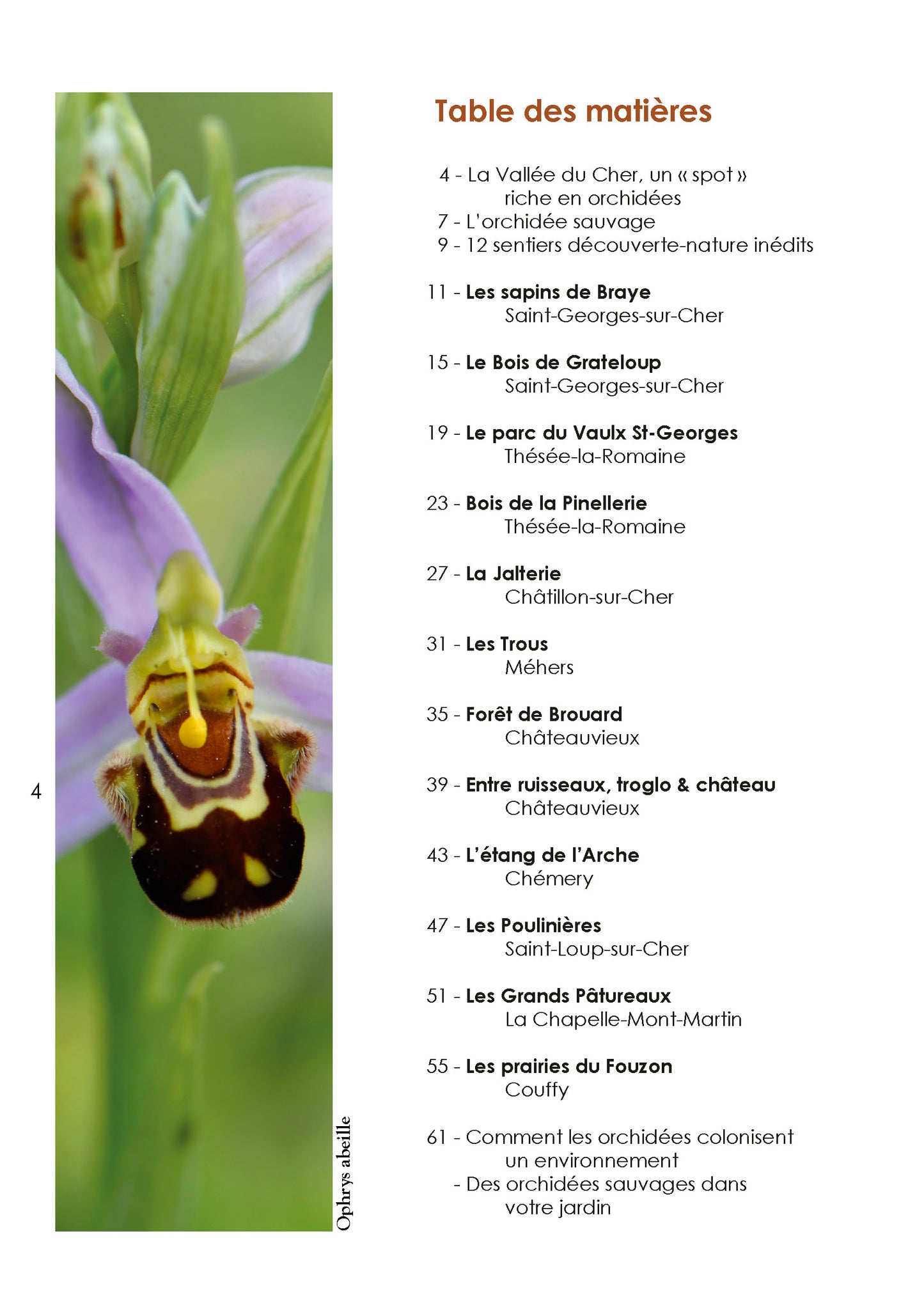 Guide des orchidées sauvages dans la vallée du Cher