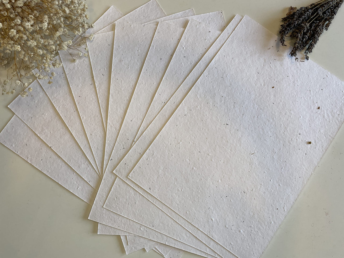 Feuille A4 de papier ensemencé