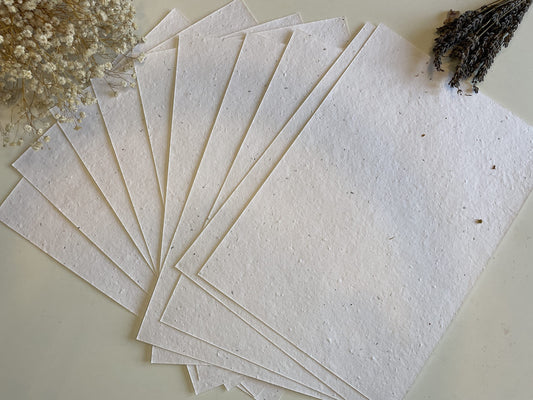 Feuille A4 de papier ensemencé