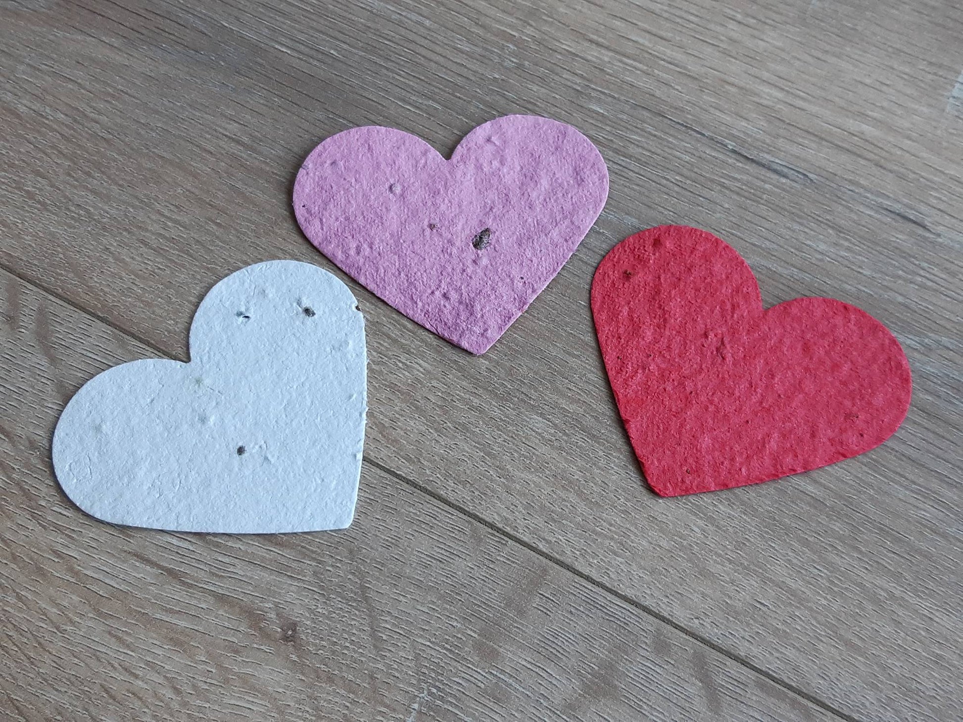Amour au grand coeur à planter La Fabrik' à Pousses