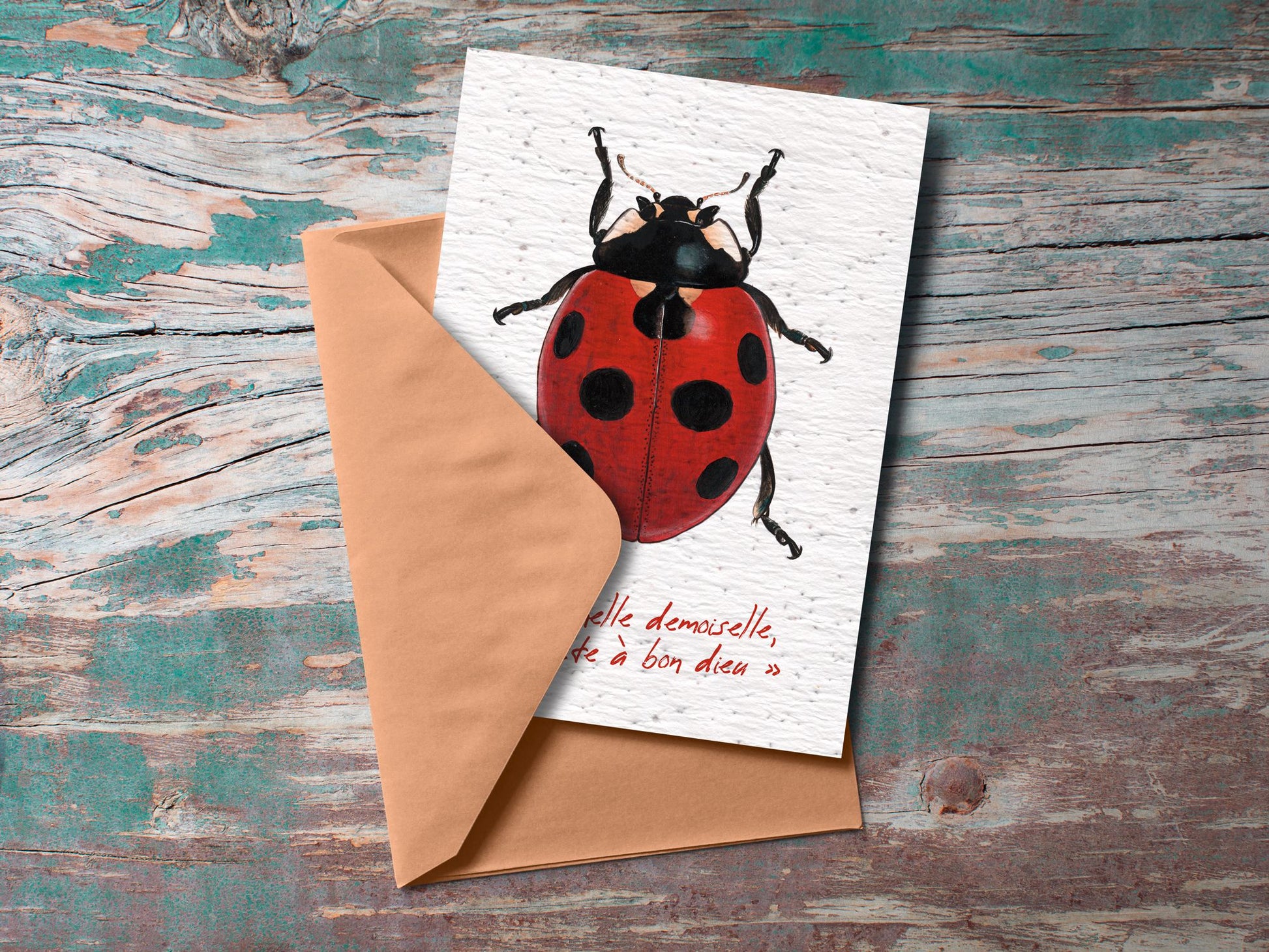 Carte à planter Coccinelle demoiselle La Fabrik' à Pousses