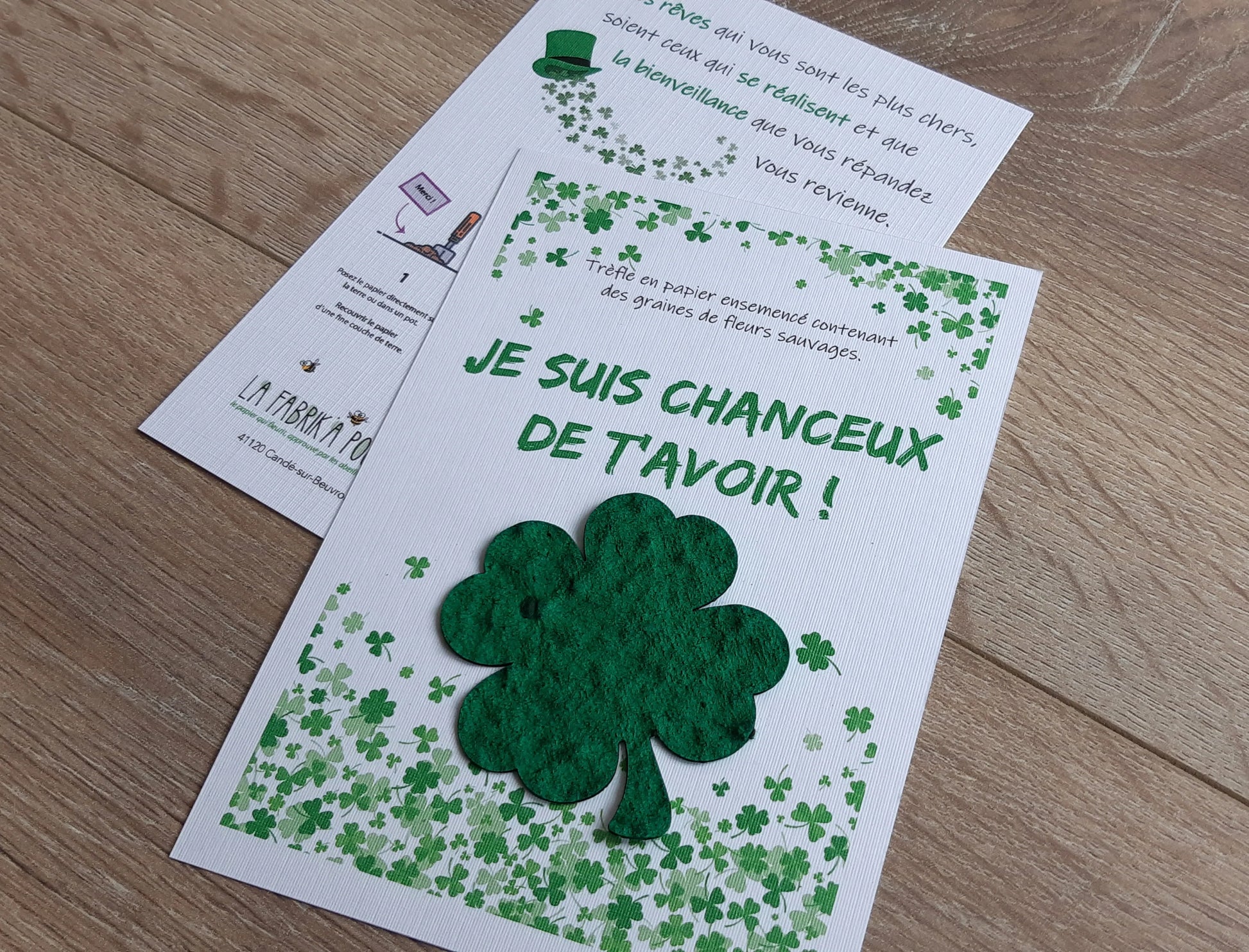 Carte cadeau illustrée (plusieurs variantes) La Fabrik' à Pousses