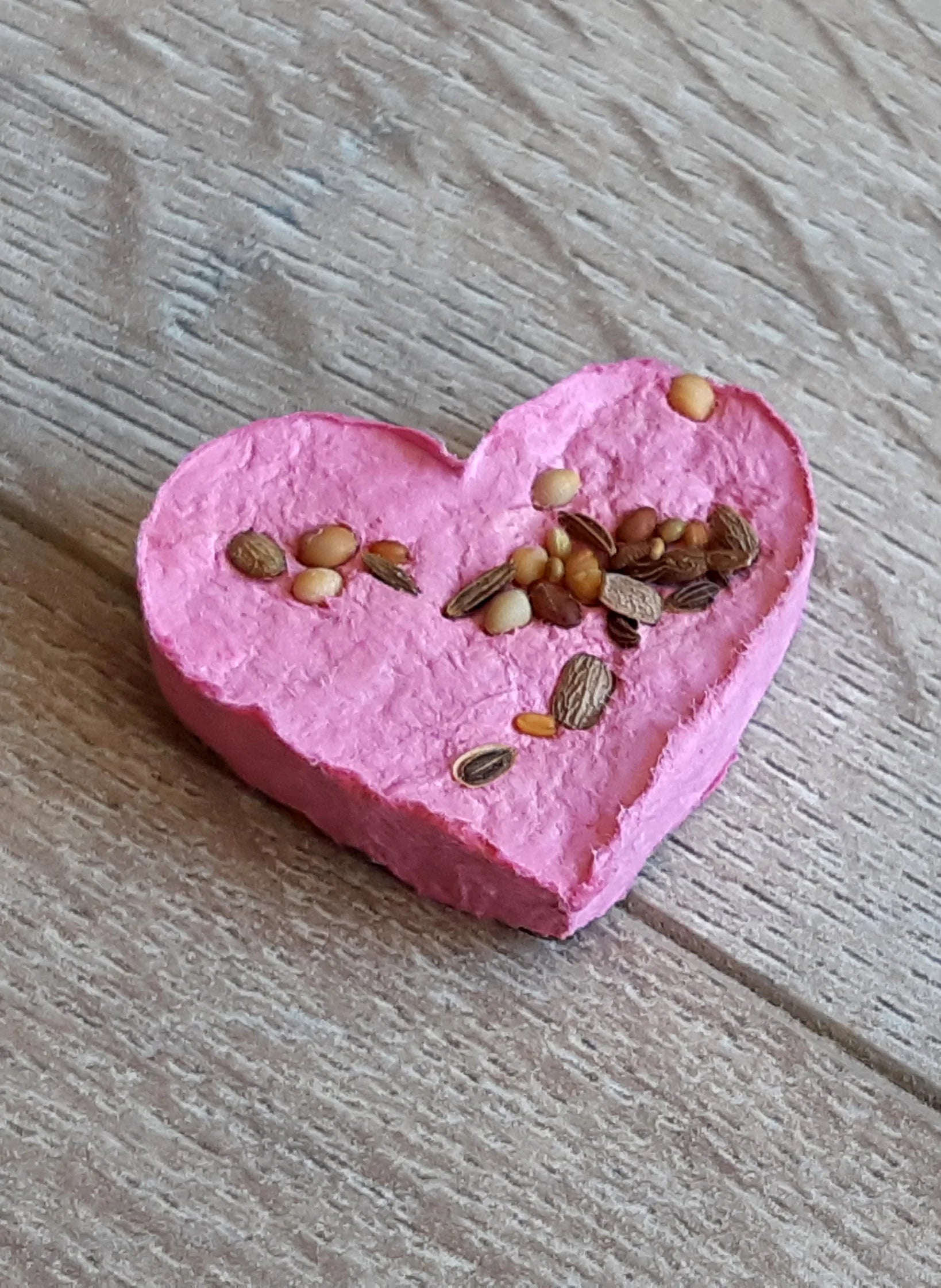 Coeur de graines Octobre Rose La Fabrik' à Pousses