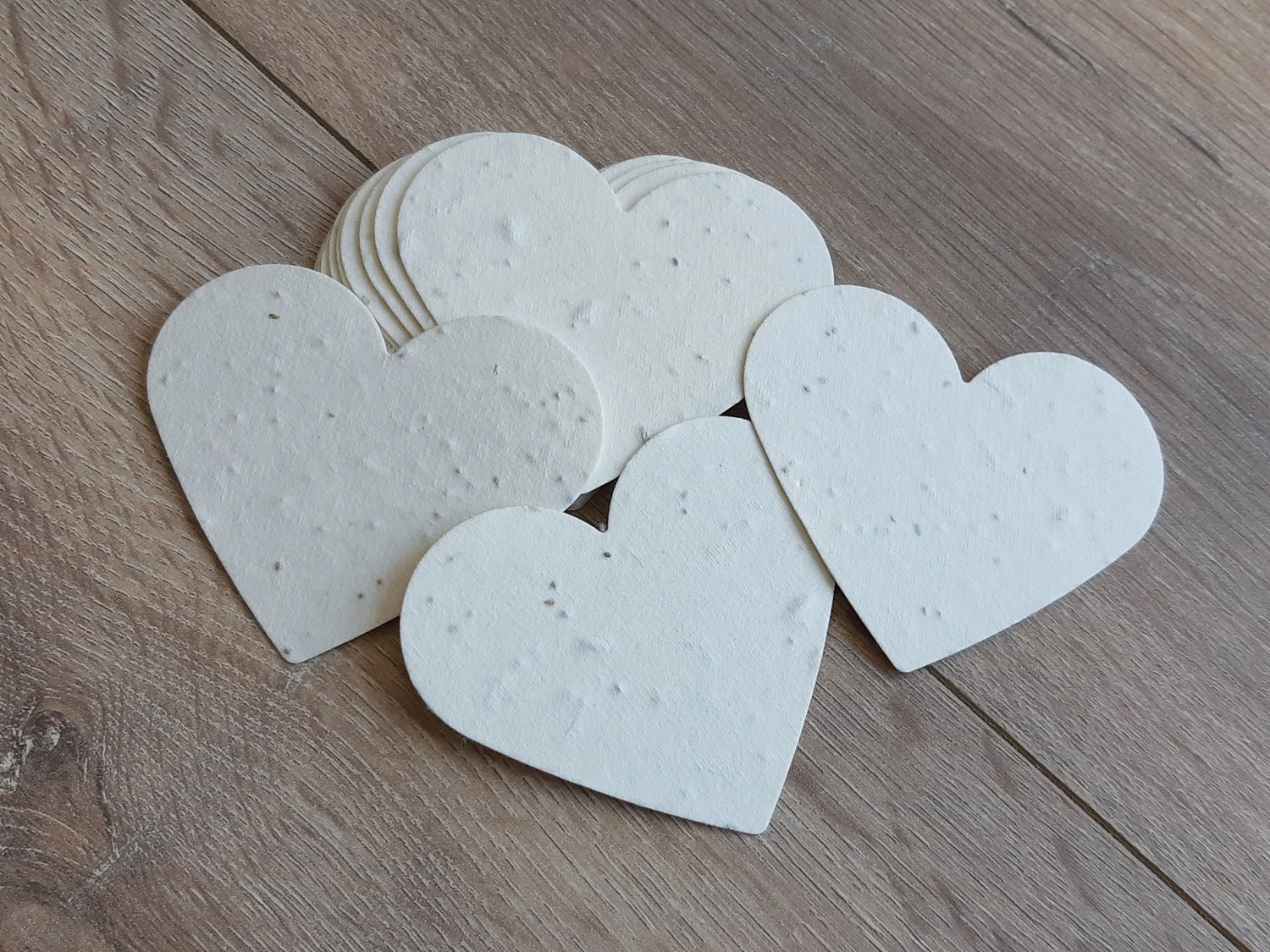 Coeur ensemencé à planter La Fabrik' à Pousses