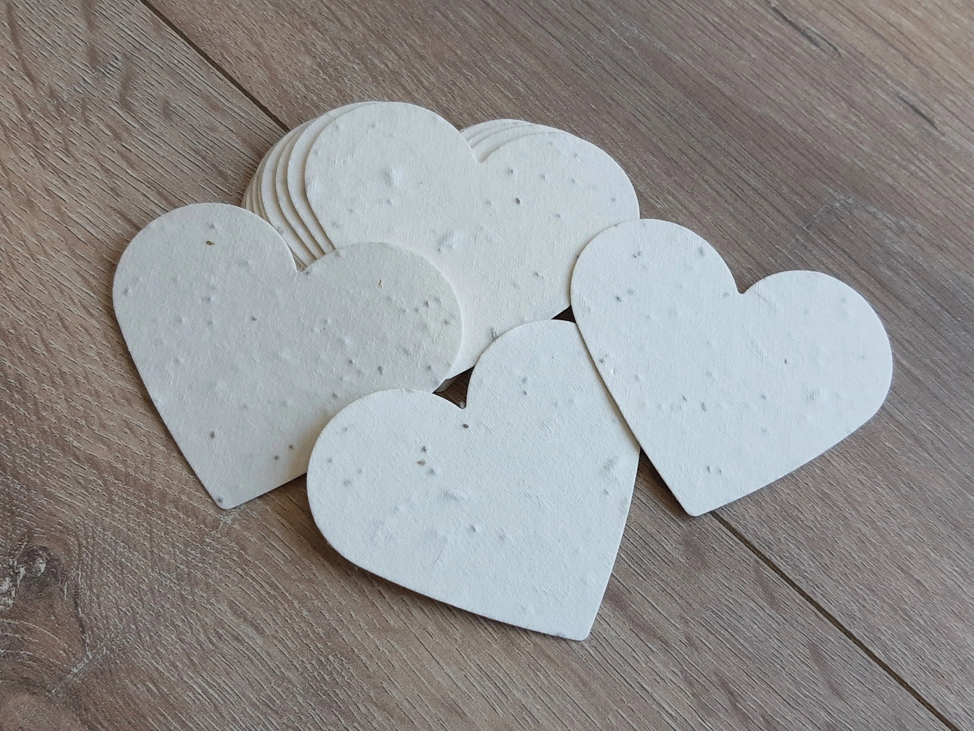 Coeur ensemencé à planter La Fabrik' à Pousses