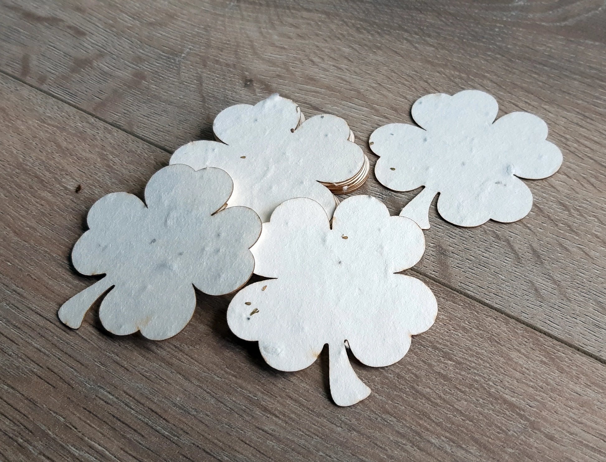 Trèfle à 4 feuilles à planter en papier ensemencé (blanc ou vert) La Fabrik' à Pousses